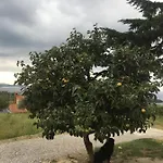 Bella Vista Апартаменты *