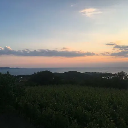 Bella Vista Lägenhet Ankaran