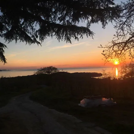Bella Vista *