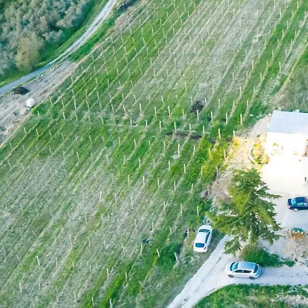 Bella Vista Apartamento