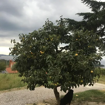 Bella Vista Апартаменты *