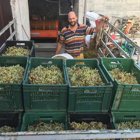 Bella Vista Анкаран