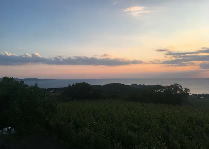 Bella Vista Lejlighed Ankaran