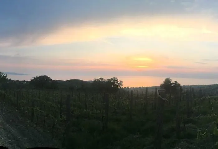 Bella Vista Lejlighed *