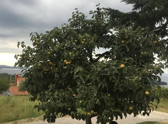 Bella Vista Appartement *